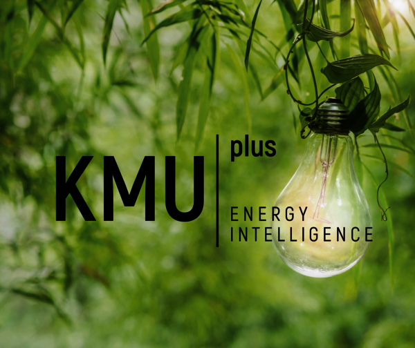 Das KMU plus Logo, mit einer von pflanzen umgebenen Glühbirne im Hintergrund.